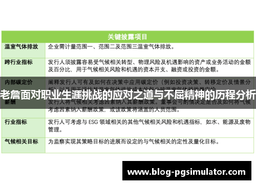 老詹面对职业生涯挑战的应对之道与不屈精神的历程分析