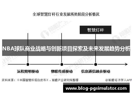 NBA球队商业战略与创新项目探索及未来发展趋势分析