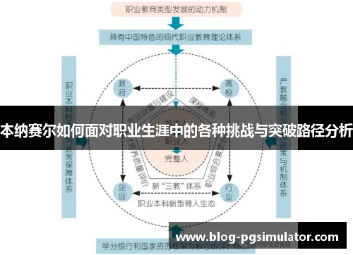 本纳赛尔如何面对职业生涯中的各种挑战与突破路径分析