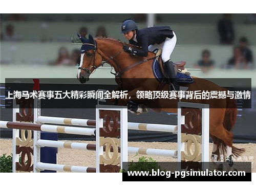 上海马术赛事五大精彩瞬间全解析，领略顶级赛事背后的震撼与激情
