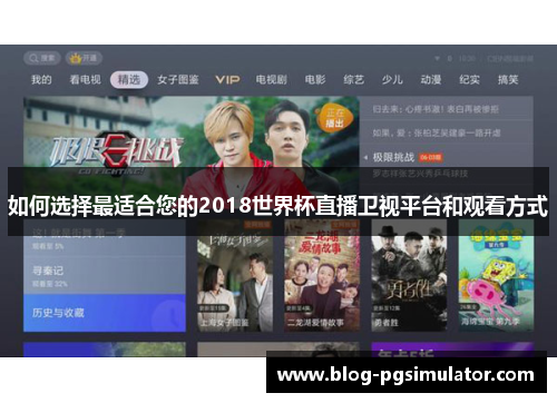如何选择最适合您的2018世界杯直播卫视平台和观看方式