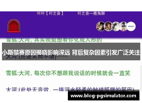 小斯禁赛原因揭晓影响深远 背后复杂因素引发广泛关注