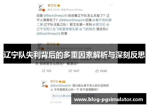 辽宁队失利背后的多重因素解析与深刻反思