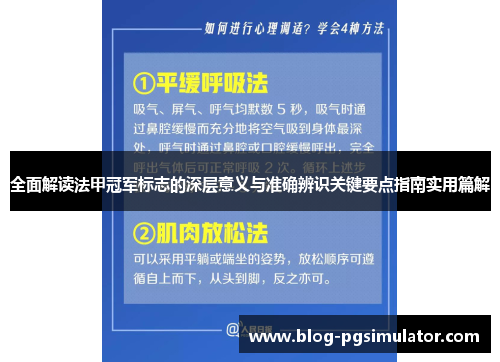 全面解读法甲冠军标志的深层意义与准确辨识关键要点指南实用篇解