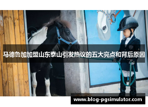 马德鲁加加盟山东泰山引发热议的五大亮点和背后原因