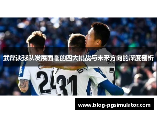 武磊谈球队发展面临的四大挑战与未来方向的深度剖析