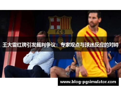 王大雷红牌引发裁判争议：专家观点与球迷反应的对峙